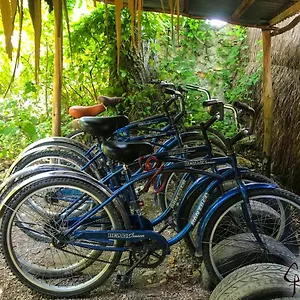 Guarumbo , Bacalar Mexico